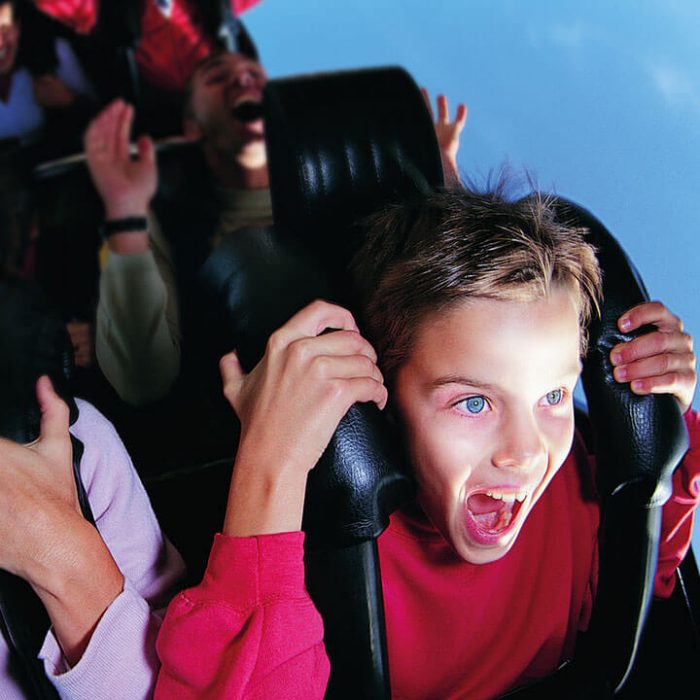 walibi_visuel_portfolio